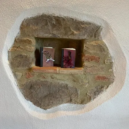 Casa Vicolo Degli Orti Daire Monticiano