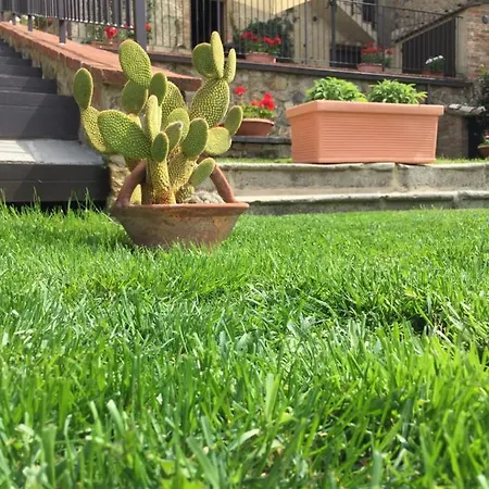 Casa Vicolo Degli Orti Appartement *